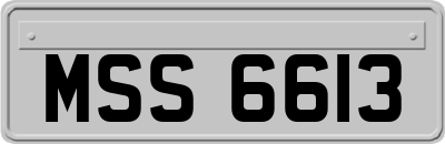 MSS6613