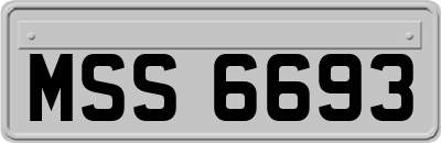 MSS6693