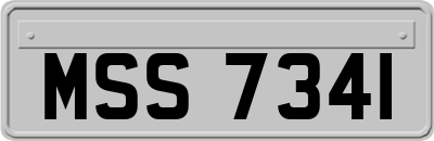 MSS7341