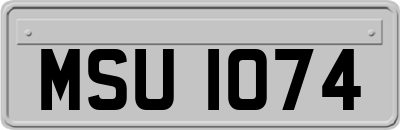 MSU1074