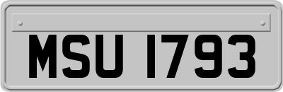 MSU1793