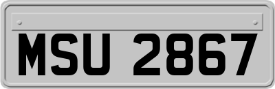 MSU2867