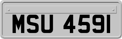 MSU4591