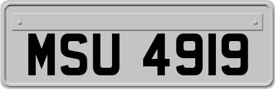MSU4919
