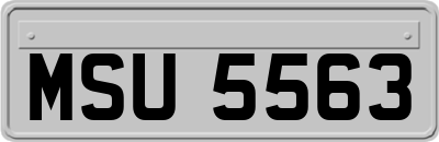 MSU5563