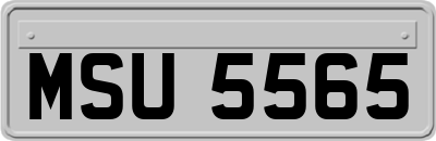 MSU5565