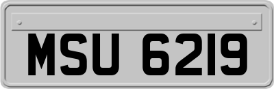 MSU6219