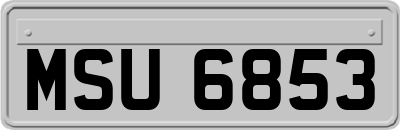 MSU6853