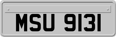 MSU9131