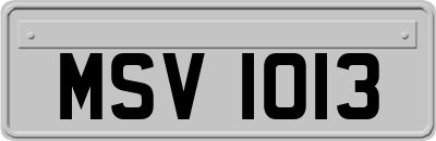 MSV1013