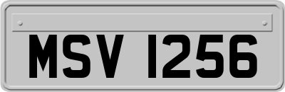 MSV1256