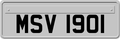 MSV1901