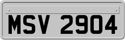 MSV2904