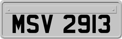 MSV2913