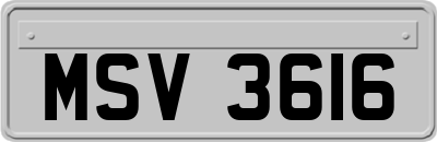 MSV3616