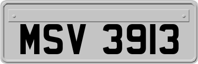 MSV3913