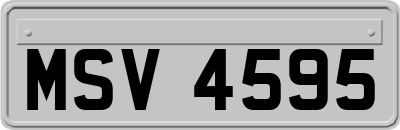 MSV4595