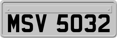 MSV5032