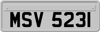 MSV5231