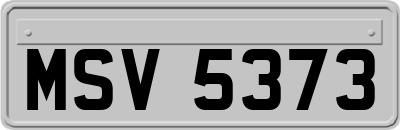 MSV5373