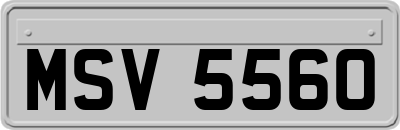 MSV5560
