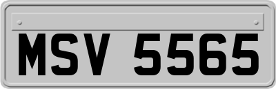 MSV5565