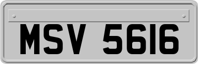 MSV5616