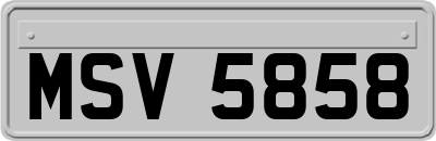MSV5858
