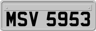 MSV5953