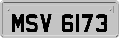 MSV6173
