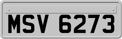 MSV6273