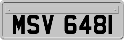 MSV6481