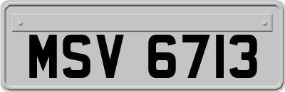 MSV6713