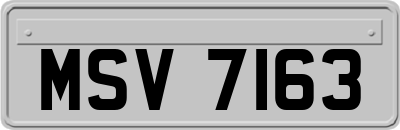 MSV7163