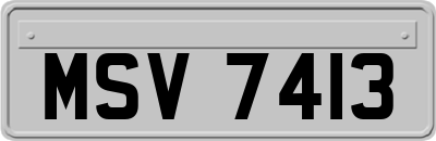 MSV7413