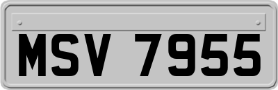 MSV7955