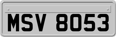 MSV8053