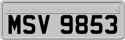 MSV9853