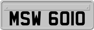 MSW6010