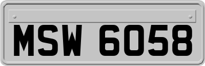 MSW6058
