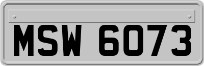 MSW6073