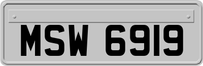 MSW6919