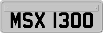 MSX1300