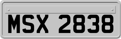 MSX2838