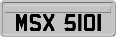 MSX5101