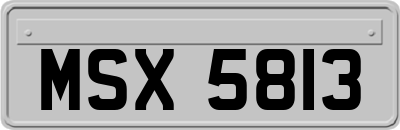 MSX5813