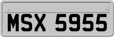 MSX5955