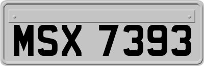 MSX7393