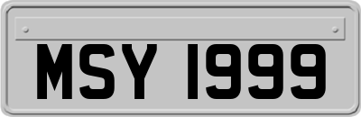 MSY1999
