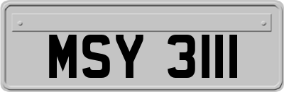 MSY3111